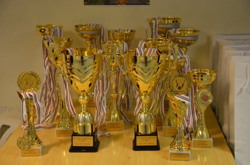 Víťazi si rozdelili tieto trofeje 20-trofeje